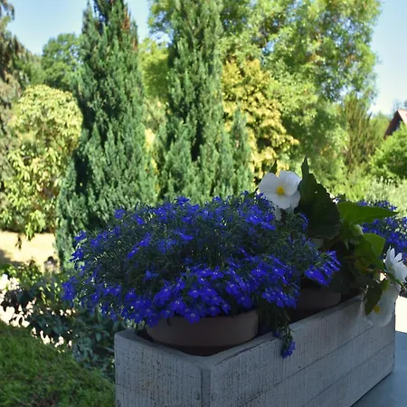 Komfort Mit Schlossblick Lägenhet Blankenburg (Harz)