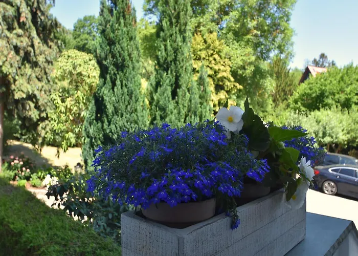 Komfort Mit Schlossblick Апартаменты Бланкенбург